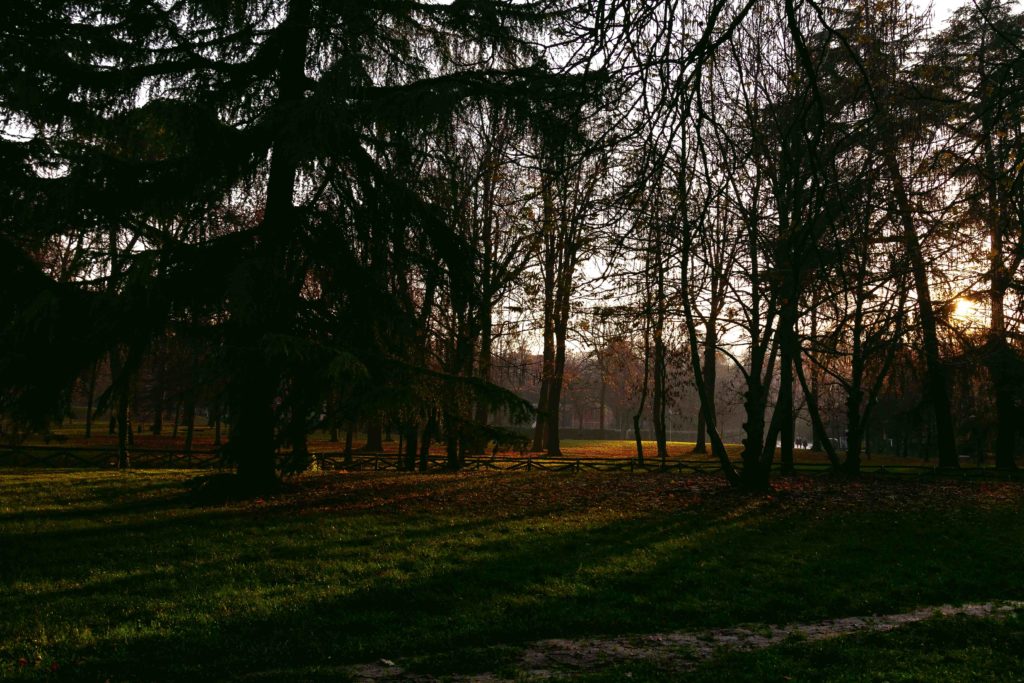 ©Fabrizio Arnetta