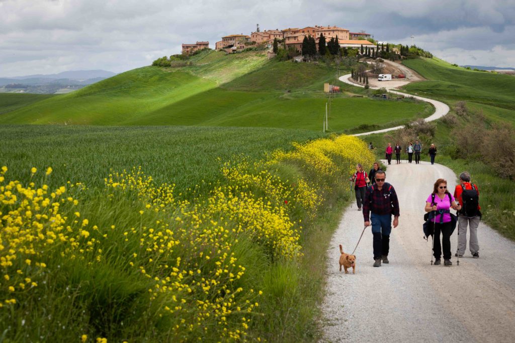 ©Fabrizio Arnetta