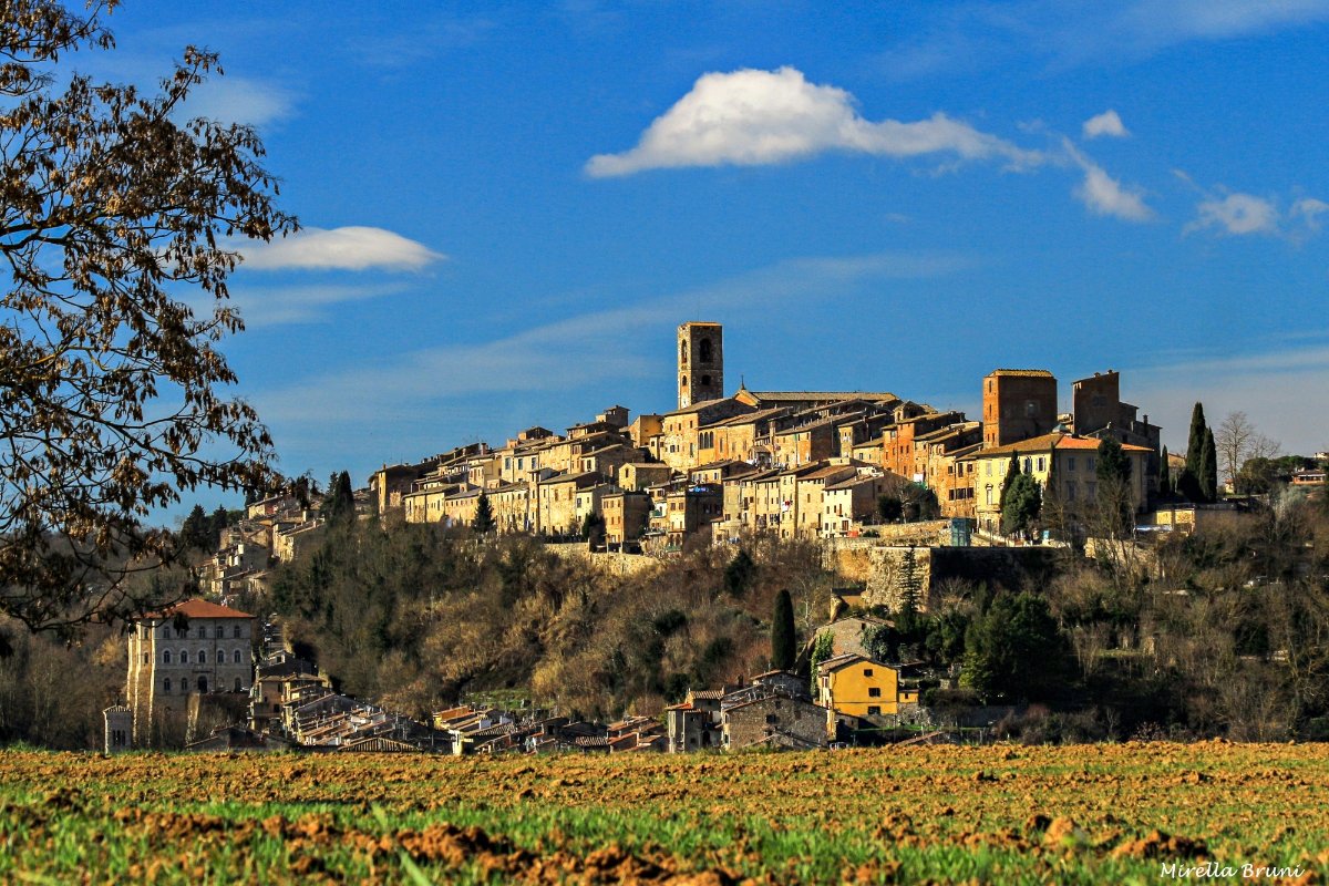 Colle val d'Elsa (Si)