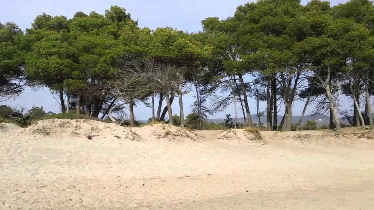 Parco Costiero della Sterpaia (Li)