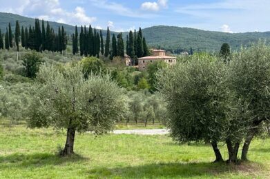 campagna castiglion f.