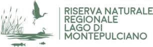 Riserva Naturale del lago di Montepulciano (Si)